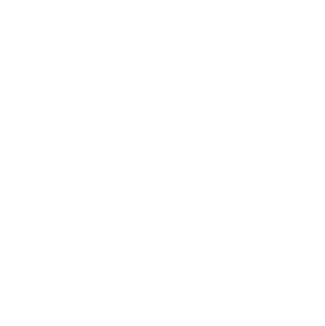 Protom logo